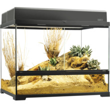 Eingerichtetes Terrarium für Wüstenbewohner mit Pflanzen und Sand