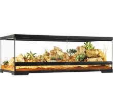 Terrarium mit Steinen und Pflanzen
