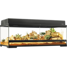 Terrarium mit Wüstenlandschaft, Steinen und Sukkulenten