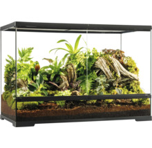 Terrarium mit Bepflanzung und Bodengrund für Reptilien und Amphibien