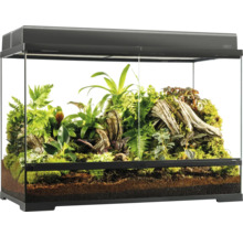 Glasterrarium mit Pflanzen und Bodengrund für Reptilien und Amphibien