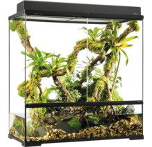 Eingerichtetes Terrarium mit Pflanzen, Wasser und Steinen