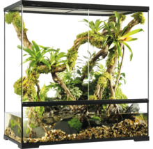 Eingerichtetes Aquarium mit Pflanzen, Steinen und Wasser für Reptilien und Amphibien