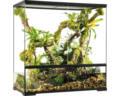 Eingerichtetes Aquarium mit Pflanzen, Steinen und Wasser für Reptilien und Amphibien