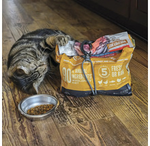 Eine getigerte Katze liegt neben einer Schüssel mit Futter und einer geöffneten Tüte Trockenfutter.