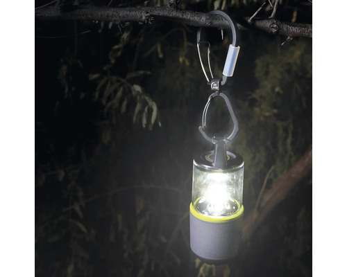 Leuchtende LED-Laterne mit Karabiner hängt an einem Ast.