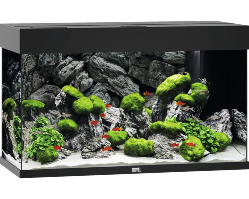 Aquarium JUWEL Rio 125 mit LED-Beleuchtung, Pumpe, Filter, Heizer ohne Unterschrank schwarz