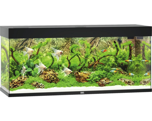Aquarium JUWEL Rio 240 mit LED-Beleuchtung, Pumpe, Filter, Heizer ohne Unterschrank schwarz Aquarium JUWEL Rio 240 mit LED-Beleuchtung, Pumpe, Filter, Heizer ohne Unterschrank schwarz