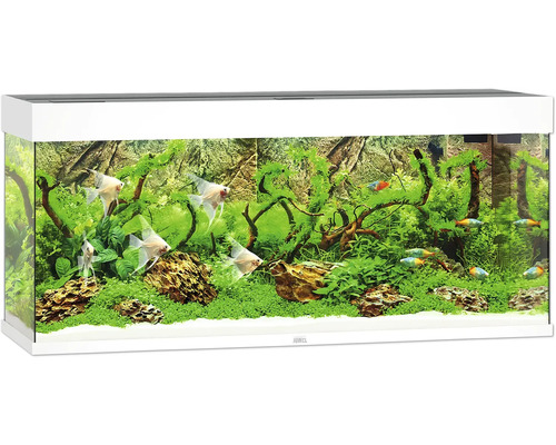 Aquarium JUWEL Rio 240 mit LED-Beleuchtung, Pumpe, Filter, Heizer ohne Unterschrank weiß Aquarium JUWEL Rio 240 mit LED-Beleuchtung, Pumpe, Filter, Heizer ohne Unterschrank weiß