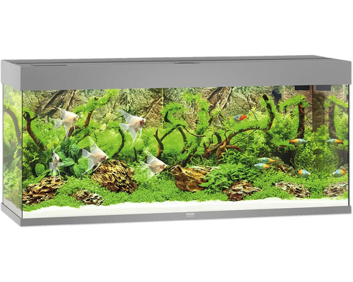 Aquarium Juwel Rio 240 mit LED-Beleuchtung, Pumpe, Filter, Heizer ohne Unterschrank grau Aquarium Juwel Rio 240 mit LED-Beleuchtung, Pumpe, Filter, Heizer ohne Unterschrank grau
