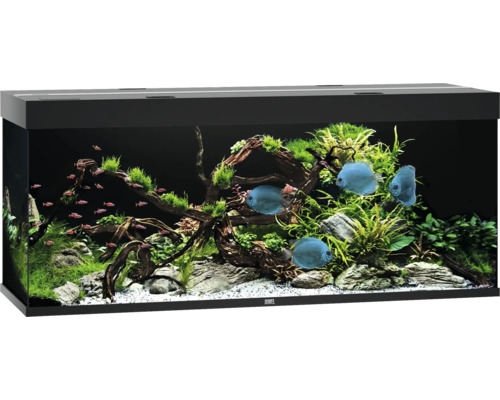 Aquarium JUWEL Rio 450 mit LED-Beleuchtung, Pumpe, Filter, Heizer ohne Unterschrank schwarz