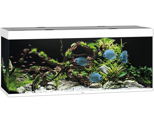 Aquarium JUWEL Rio 450 mit LED-Beleuchtung, Pumpe, Filter, Heizer ohne Unterschrank weiß Aquarium JUWEL Rio 450 mit LED-Beleuchtung, Pumpe, Filter, Heizer ohne Unterschrank weiß