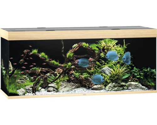 Aquarium JUWEL Rio 450 mit LED-Beleuchtung, Pumpe, Filter, Heizer ohne Unterschrank helles Holz Aquarium JUWEL Rio 450 mit LED-Beleuchtung, Pumpe, Filter, Heizer ohne Unterschrank helles Holz