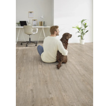 Heller Wohnraum mit Laminatboden in Holzoptik, Mann und Hund sitzen auf dem Boden