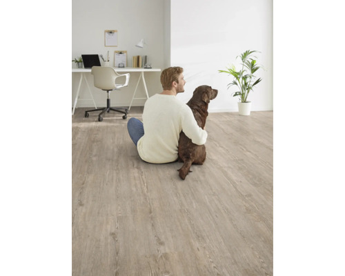 Heller Wohnraum mit Laminatboden in Holzoptik, Mann und Hund sitzen auf dem Boden