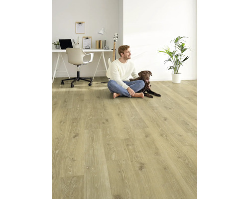 Heller Wohnraum mit Laminatboden, Schreibtisch, Mann und Hund