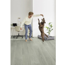 Heller Raum mit Mann, der mit einem Hund auf einem Holzboden spielt, mit einem Schreibtisch, einem Stuhl und einer Gitarre im Hintergrund