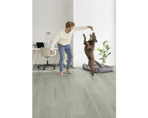 Heller Raum mit Mann, der mit einem Hund auf einem Holzboden spielt, mit einem Schreibtisch, einem Stuhl und einer Gitarre im Hintergrund