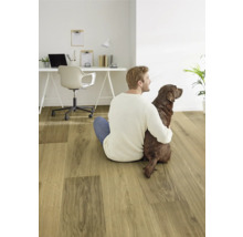 Ein Mann sitzt mit einem braunen Labrador auf einem Bodenbelag in Holzoptik vor einem Schreibtisch.