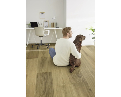 Ein Mann sitzt mit einem braunen Labrador auf einem Bodenbelag in Holzoptik vor einem Schreibtisch.