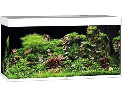 Aquarium JUWEL Rio 350 mit LED-Beleuchtung, Pumpe, Filter, Heizer ohne Unterschrank weiß