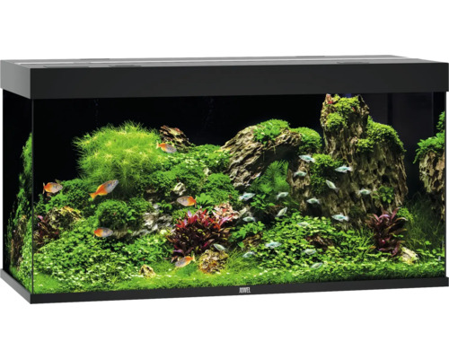 Aquarium JUWEL Rio 350 mit LED-Beleuchtung, Pumpe, Filter, Heizer ohne Unterschrank schwarz Aquarium JUWEL Rio 350 mit LED-Beleuchtung, Pumpe, Filter, Heizer ohne Unterschrank schwarz