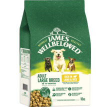 James Wellbeloved Adult Large Breed Hundefutter mit Lamm und Reis in einer 10 Kilogramm Packung