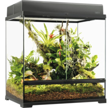 Terrarium mit Pflanzen und Bodengrund