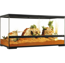 Eingerichtetes Terrarium mit Wüstenlandschaft