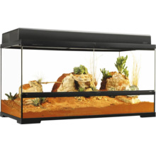 Eingerichtetes Terrarium mit Steinen und Pflanzen