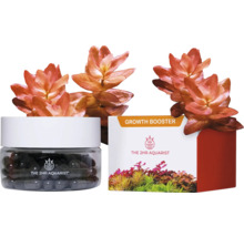 The 2HR Aquarist Growth Booster mit Wasserpflanzen