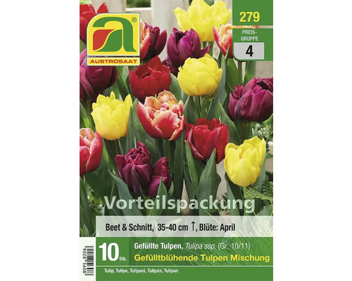 Tulpenmischung für Beet und Schnitt, 35 bis 40 cm hoch, Blütezeit April
