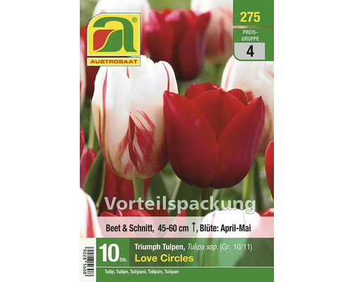 Austro Saattulpenmischung Love Circles Vorteilspackung mit zehn Stück