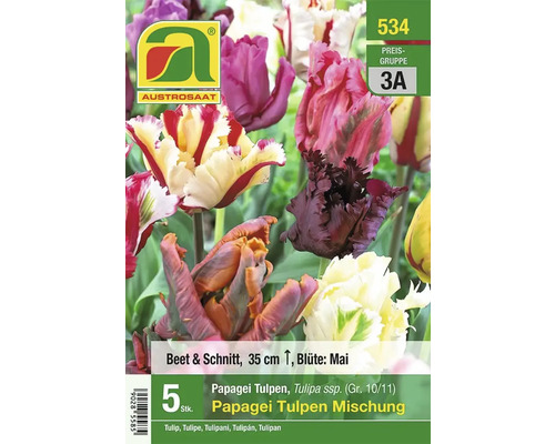 Papagei Tulpen Mischung von Austro saat, Beet- und Schnittblume, Höhe circa 35 cm, Blütezeit Mai
