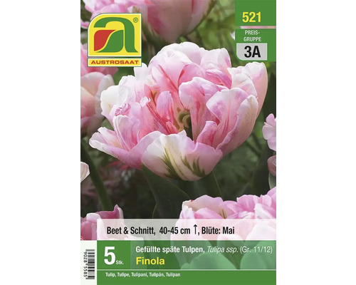 Verpackung gefüllter, später Tulpen der Sorte Finola von Austrosaat