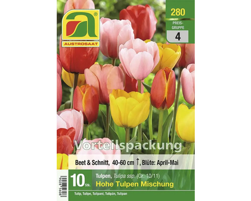 Austro Saat Tulpenmischung, 10 Stück, geeignet für Beet und Schnittblumen