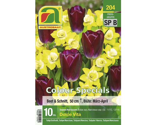 Blumenzwiebelmischung Tulpen und Narzissen