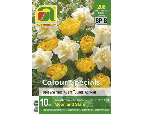 Austro-Saat Blumenzwiebeln Tulpen und Narzissen Moon and Stars