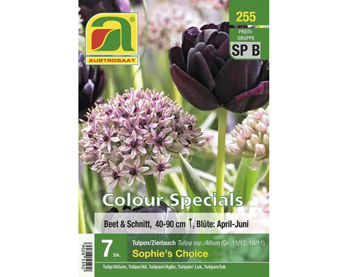 AUSTROSAAT Tulpen und Zierlauch Blumenzwiebelmischung