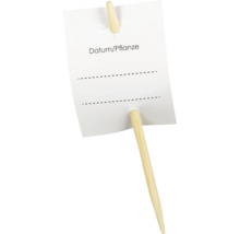 Pflanzenstecker aus Holz mit Beschriftungsfeld für Datum und Pflanzenname