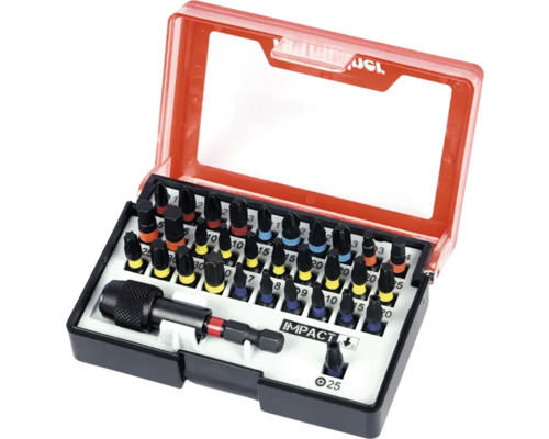 Bit-Set mit verschiedenen Schrauberbits und Bithalter in einer Kunststoffbox