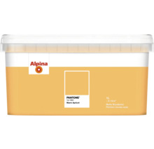Eimer matte Wandfarbe in Aprikoseton von Alpina, 1 Liter