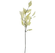 Dekorativer Zweig mit Blättern für florale Arrangements