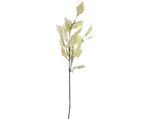 Dekorativer Zweig mit Blättern für florale Arrangements