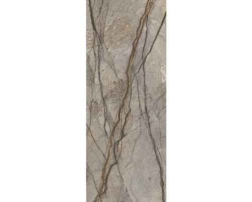 Duschrückwand Schulte Decodesign 1000x2550x3 mm Dekor Kastanie marmoriert Hochglanz