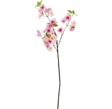 Dekorativer Kirschblütenzweig mit rosafarbenen Blüten und grünen Blättern.