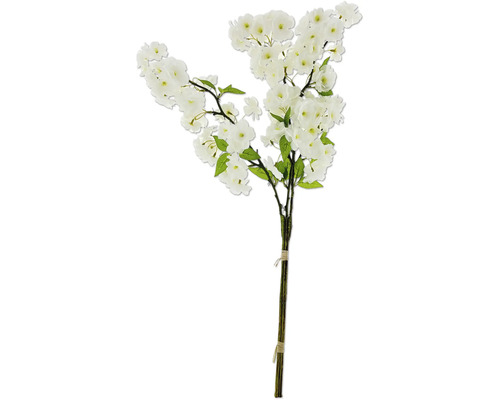 Dekorativer Kirschblütenzweig mit weißen Blüten und grünen Blättern