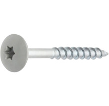 Metallschraube mit Torx-Antrieb und Flachkopf