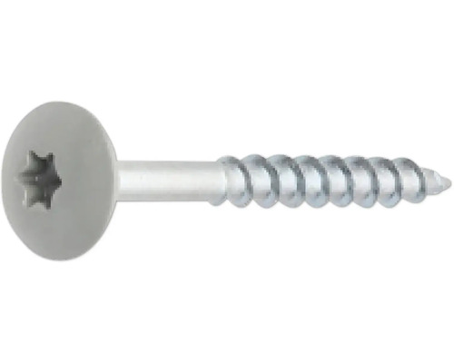 Metallschraube mit Torx-Antrieb und Flachkopf