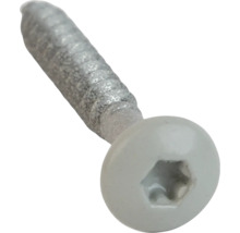 Schraube mit Innensechsrund Kopf